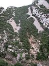 les gorges du Ripaud vers Fontjoncouse.
