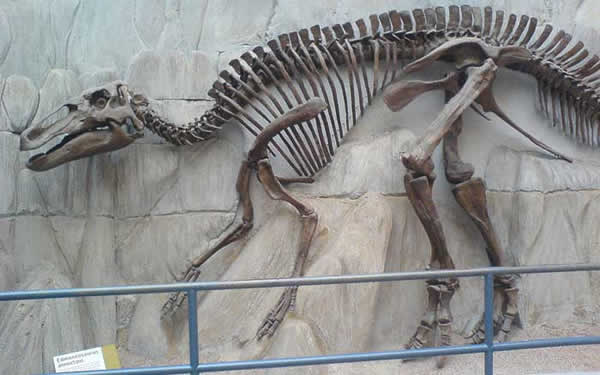 Edmontosaurus
